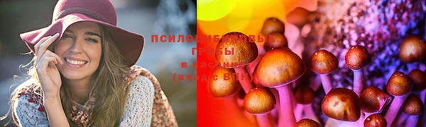 бошки Нефтегорск