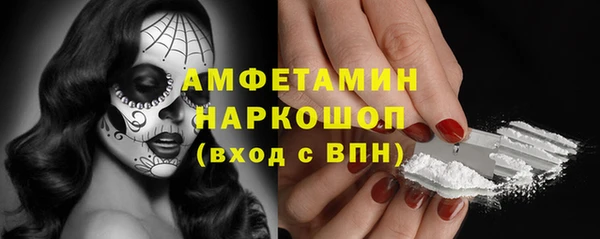 сатива Аркадак
