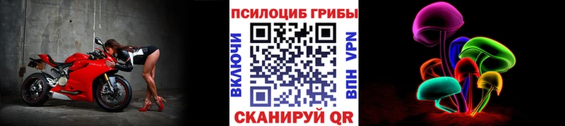 Псилоцибиновые грибы Magic Shrooms  Адыгейск 